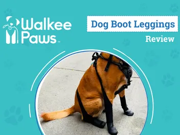 Walkee Paws Dog Boot Leggings Review 2026: An Expert's Breakdown