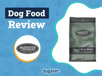 Muenster Dog Food Review 2026: Pros, Cons, Recalls & FAQ