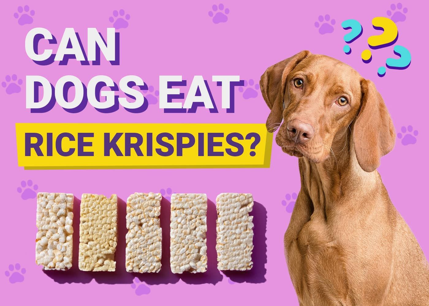 Can Dogs Eat Rice Krispies