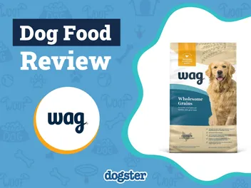 Wag Dog Food Review 2026: Recalls, Pros & Cons