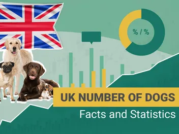 How Many Dogs are There in the UK? 2026 Statistics & Facts