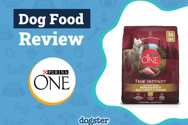 Purina ONE SmartBlend True Instinct Dog Food Review: Pros, Cons, Recalls & FAQ