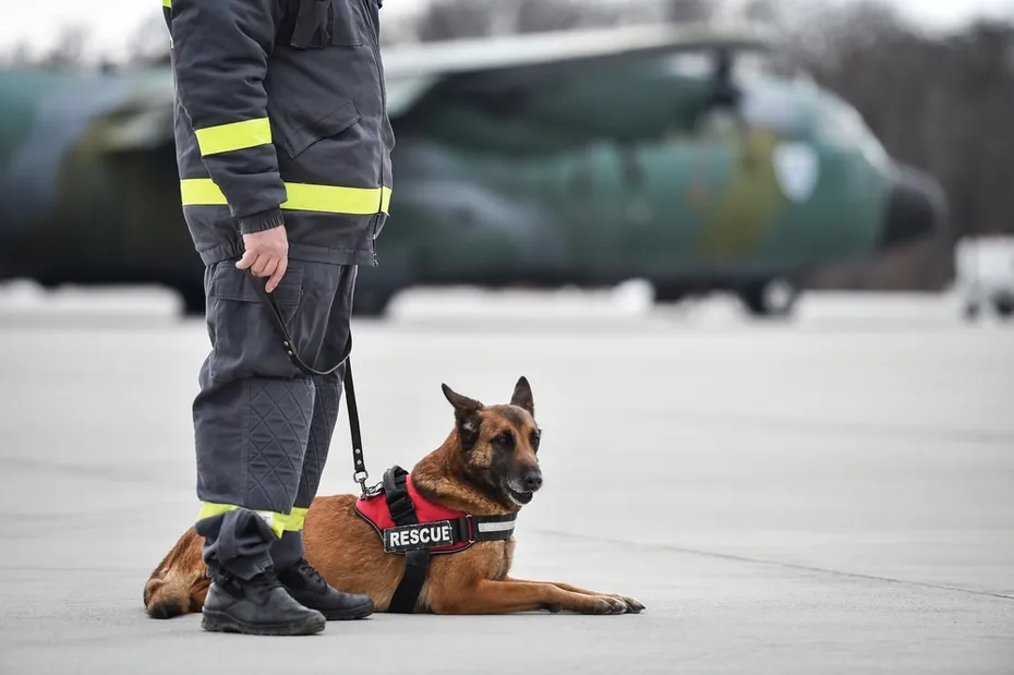 Search-and-rescue-dog-with-his-handler