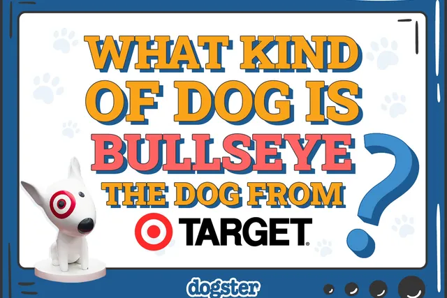 What Breed Is Bullseye the Dog from Target? Famous Pup Facts