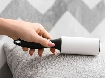 Can I Use a Lint Roller on My Dog? Vet-Approved Facts & FAQ