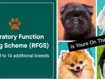 Kennel Club Quietly Adds 14 Breeds to High Risk List