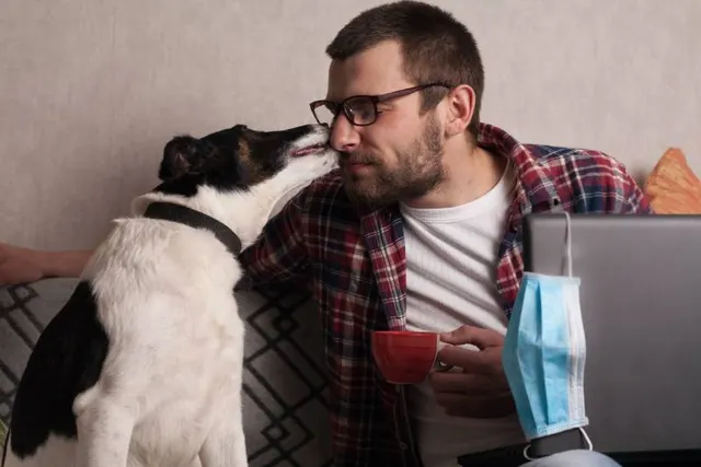 What and When Is Doggie Date Night 2026? Here's How to Celebrate