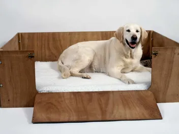 7 DIY Whelping Box Plans You Can Make at Home