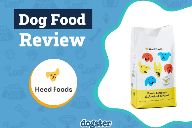 Heed Dog Food Review 2026: Pros, Cons, Recalls & Guide