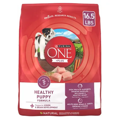 Purina ONE SmartBlend Healthy Puppy Formula Dry Dog Food
