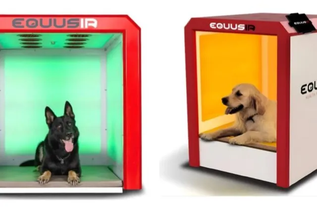 BEST-BOX: Too Good To Be True or Total Game-Changer?