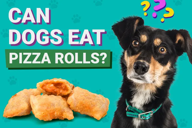 Can Dogs Eat Pizza Rolls? Vet-Verified Nutrition Facts & Concerns