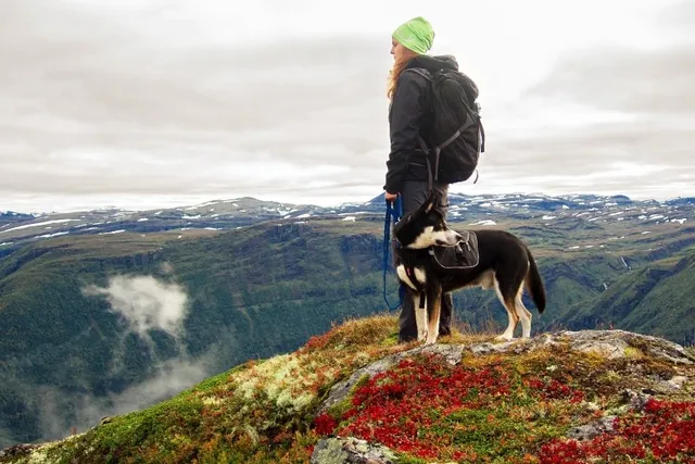 10 Dog-Friendly Hiking Trails In New Hampshire (With Pictures)