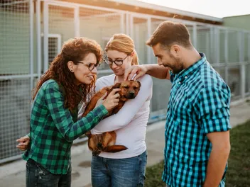 Adopt a Senior Dog Month: When Is It & How to Celebrate (Vet-Reviewed)