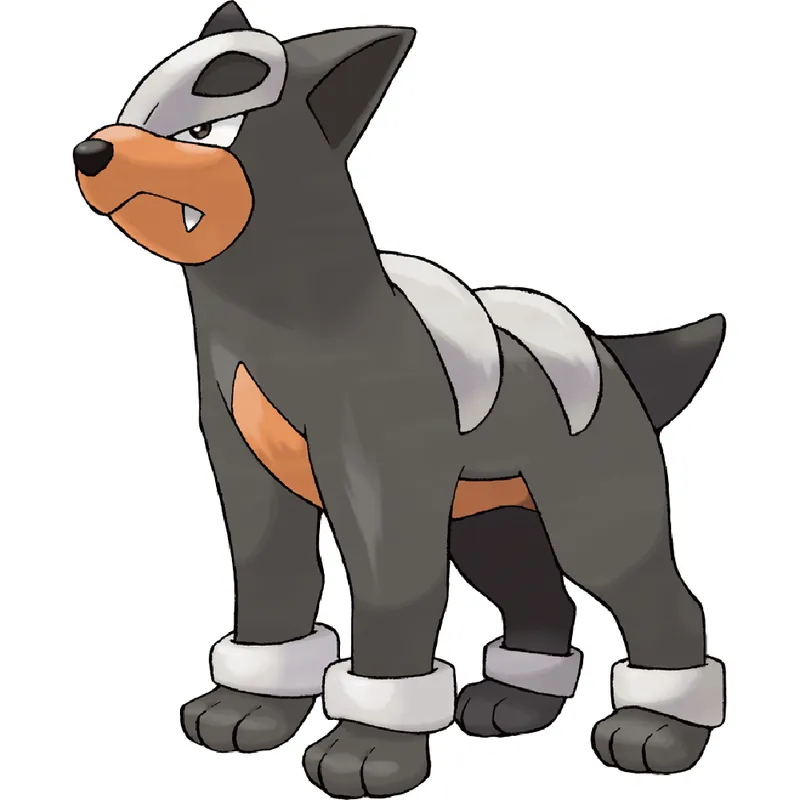 Houndour