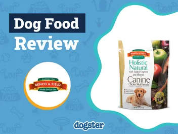 Bench & Field Dog Food Review 2026: Recalls, Pros & Cons