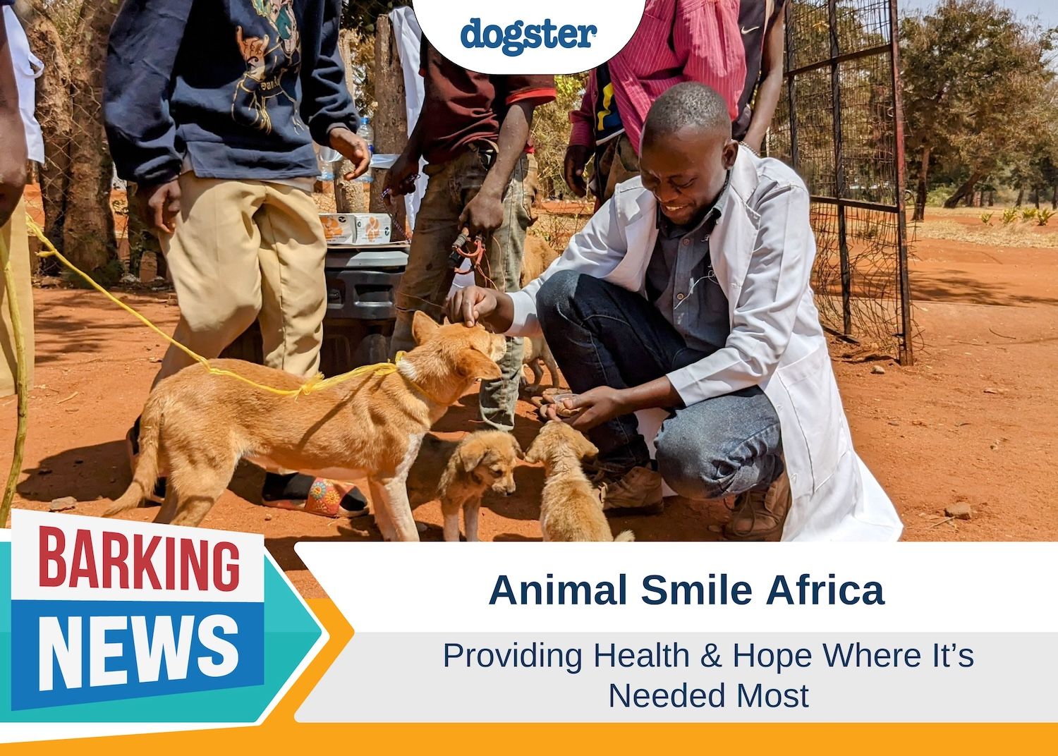Barking News Africa Smile