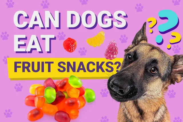 Can Dogs Eat Fruit Snacks? Vet-Verified Nutrition Info & Risks