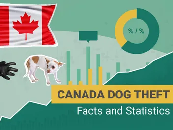 5 Disheartening Dognapping & Dog Theft Statistics in Canada: 2026 Update
