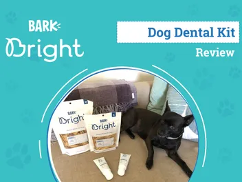 BARK Bright Dental Kit for Dogs Review 2026: An Expert's Breakdown
