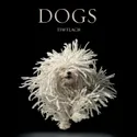 Dogs by Tim Flach