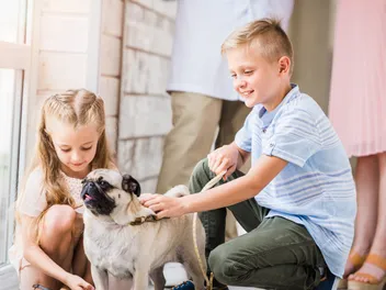 Are Pugs Good With Kids? Vet-Verified Facts & Care Tips