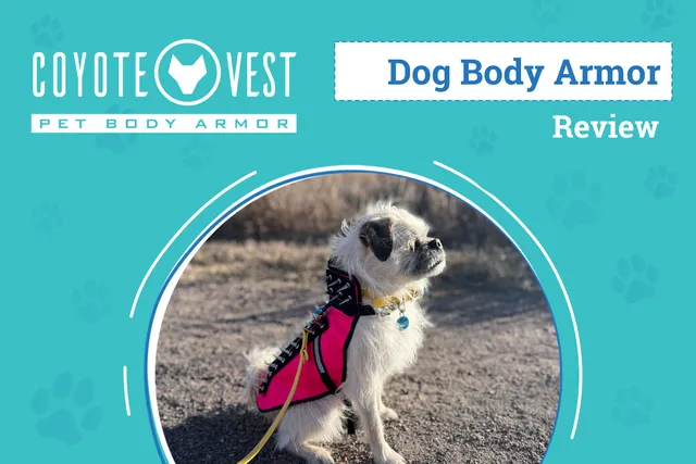 CoyoteVest Review 2026: An Expert's Breakdown