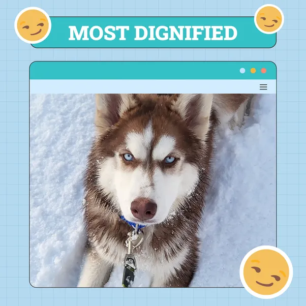 Most Dignified