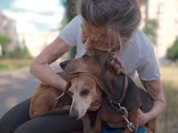 Why Is My Dachshund So Needy? 5 Common Reasons