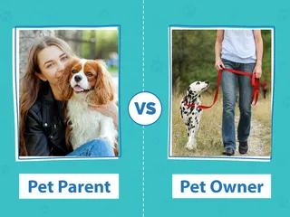 Pet Parent vs Pet Owner: What Do You Call Yourself & Your Dog?