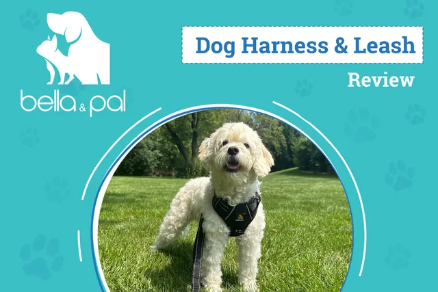 Bella & Pal Smart Pro Harness & Hands-Free Leash Set Review 2026: An Expert’s Breakdown