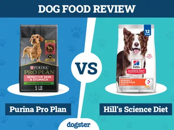 Purina Pro Plan vs Hill’s Science Diet Dog Food: 2026 Comparison, Pros & Cons