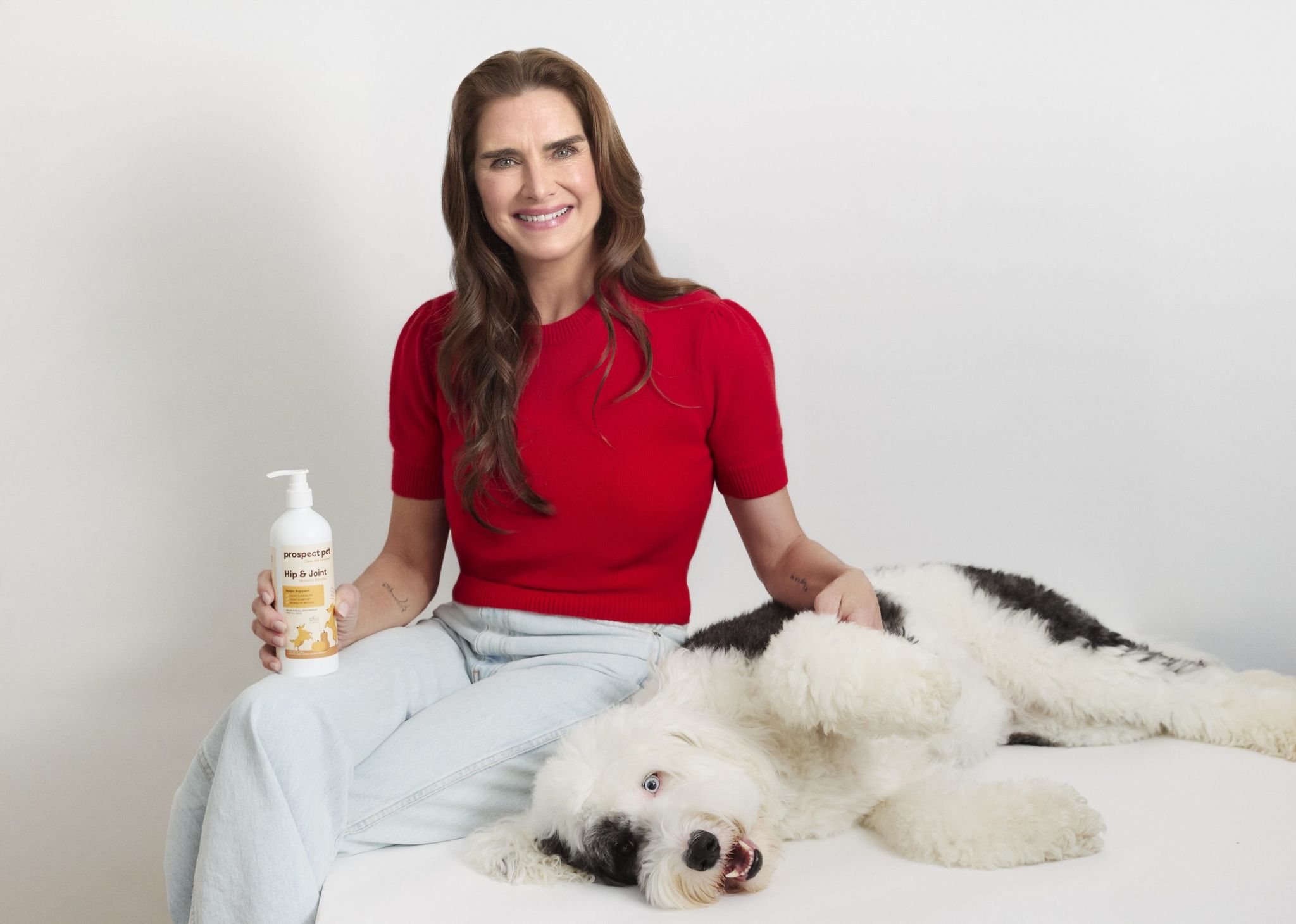 Lead Image Courtesy of Prospect Pet