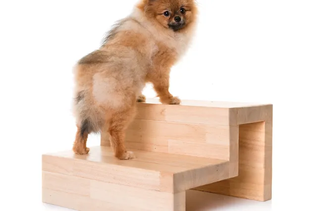 6 DIY Dog Stairs to Help Your Pup: Vet-Approved Ideas (With Pictures)