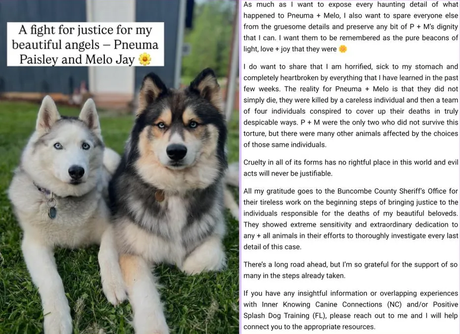 Justice For Pneuma and Melo 1