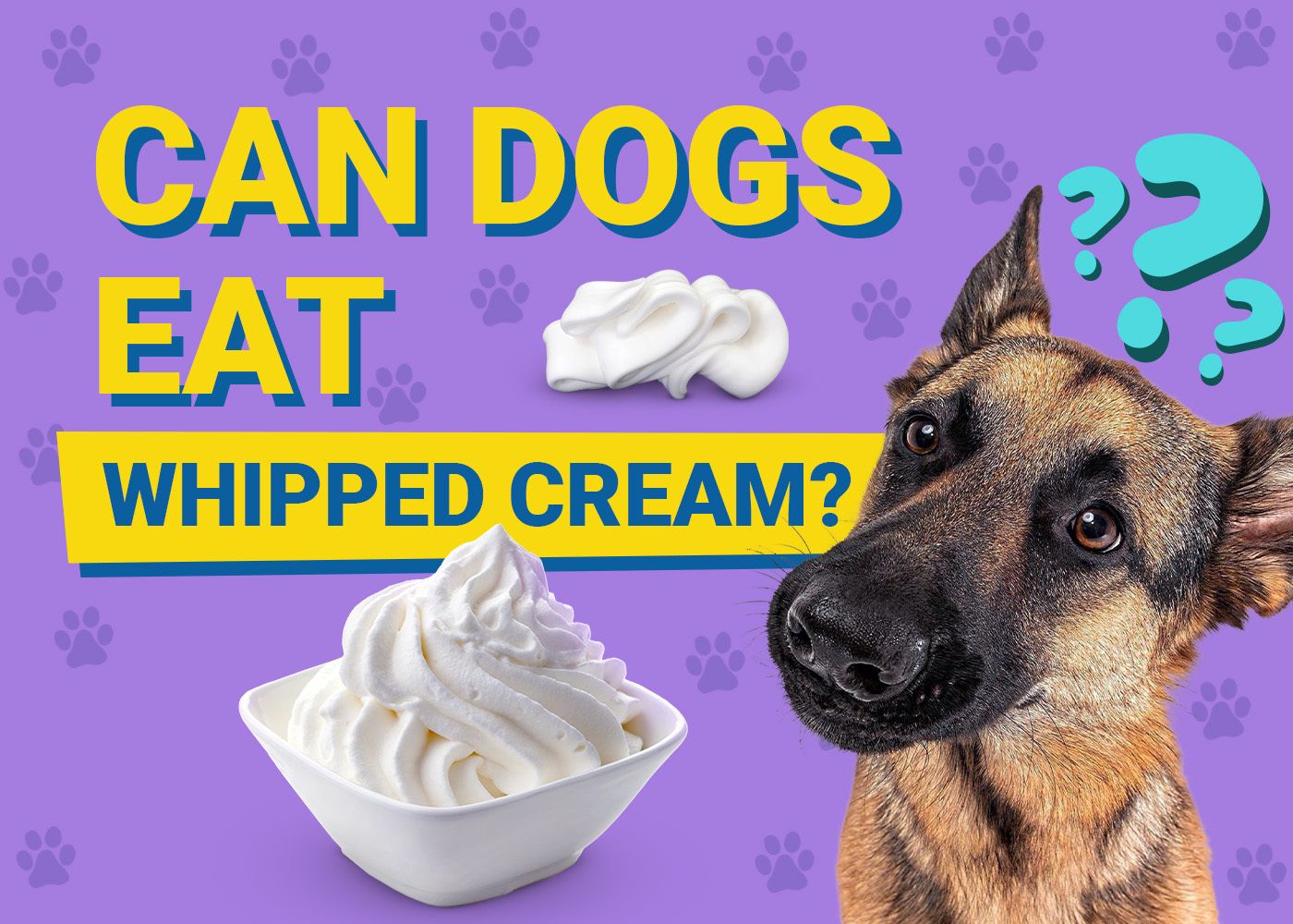 Can Dogs Eat Whipped Cream? Vet-Reviewed Nutrition Facts & Info