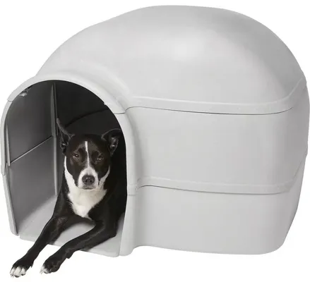 Frisco Dome Dog House