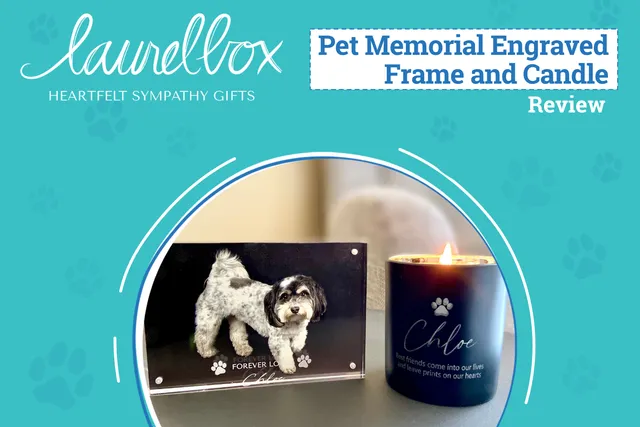 laurelbox Pet Memorial Gift Review 2026: Healing Hearts After Pet Loss