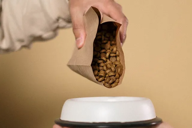 Is Dry Dog Food Bad for Dogs? Vet-Reviewed Pros & Cons