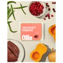 Ollie Fresh Lamb Dog Food Subscription
