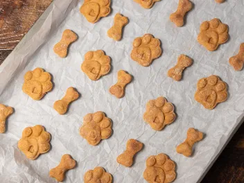 How to Make Dog Treats to Sell at Home & Start a Business: 11 Tips