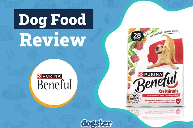 Purina Beneful Dog Food Review 2026: Pros, Cons, Recalls & FAQ