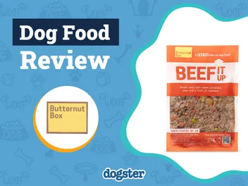 Butternut Box Dog Food Subscription Review 2026: Our Expert’s Opinion