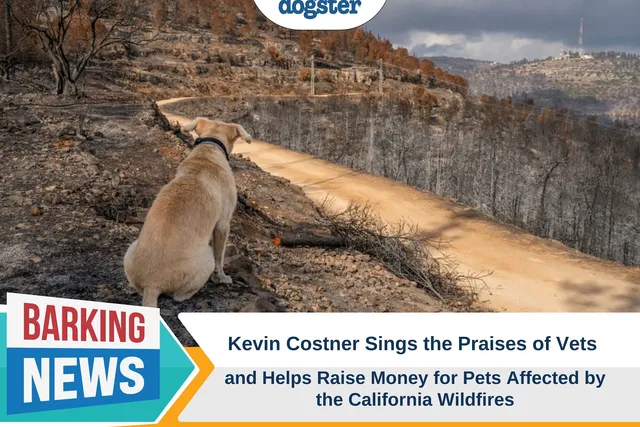 Kevin Costner Sings the Praises of Vets and Helps Raise Money for Pets Affected by the California Wildfires