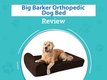 Big Barker Orthopedic Dog Bed Review in 2026: Pros, Cons & Verdict