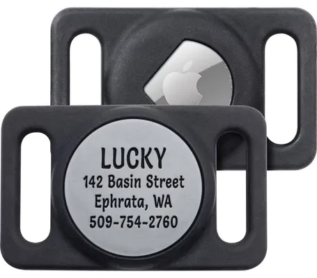 GoTags Engraved AirTag Dog Collar Holder