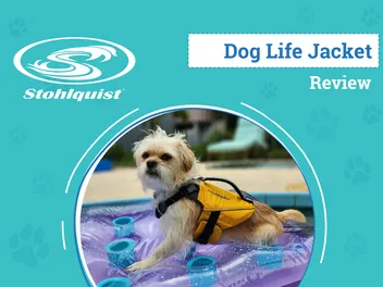 Stohlquist Pup Float Review 2026: An Expert’s Breakdown