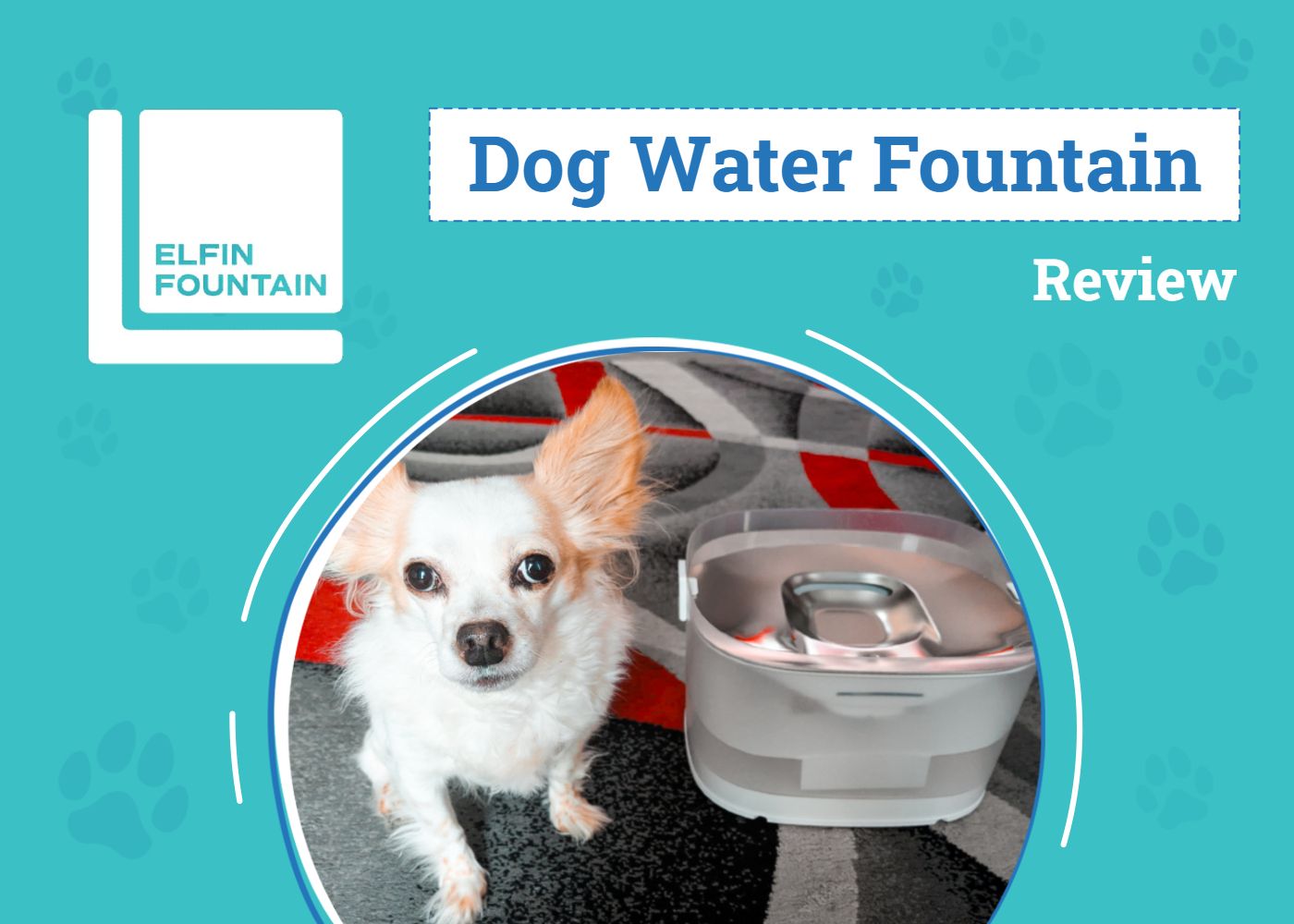 Elfin Fountain D1 Pro Review 2026: Keep Your Pet Hydrated All Day Long