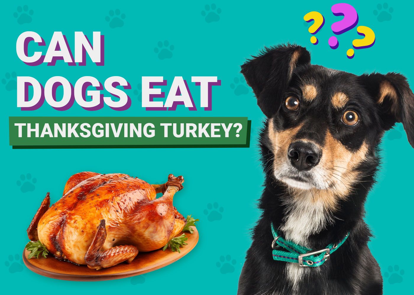 Can Dogs Eat Thanksgiving Turkey