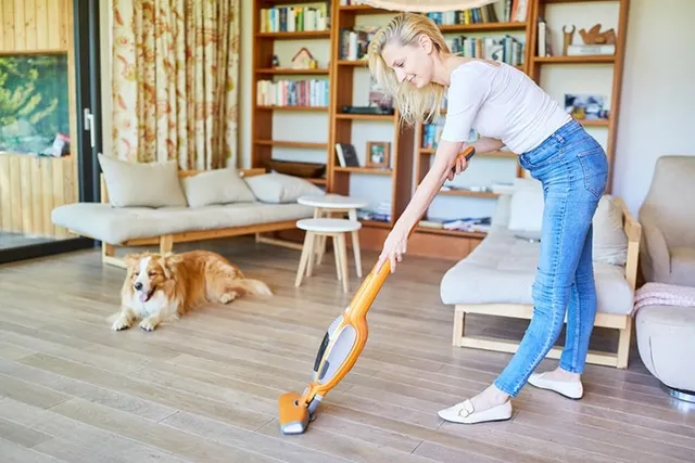 6 Vacuuming Tips With Dogs: Keeping Your House Clean With a Canine